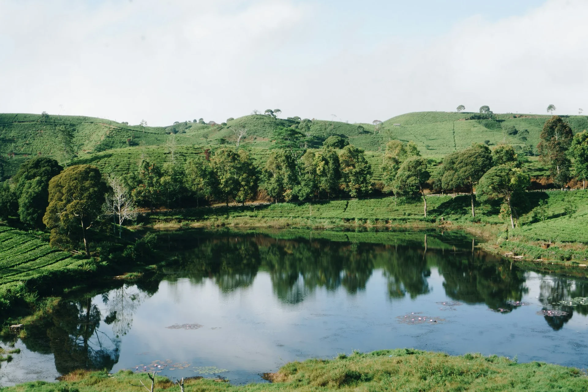Danau dikelilingi perbukitan dan pepohonan hijau